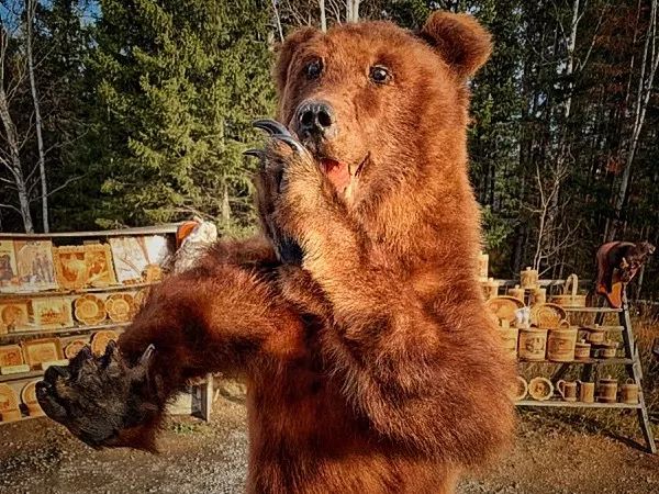 重返丝绸丈量欧亚宝沃汽车一带一路大使非凡之旅（上）