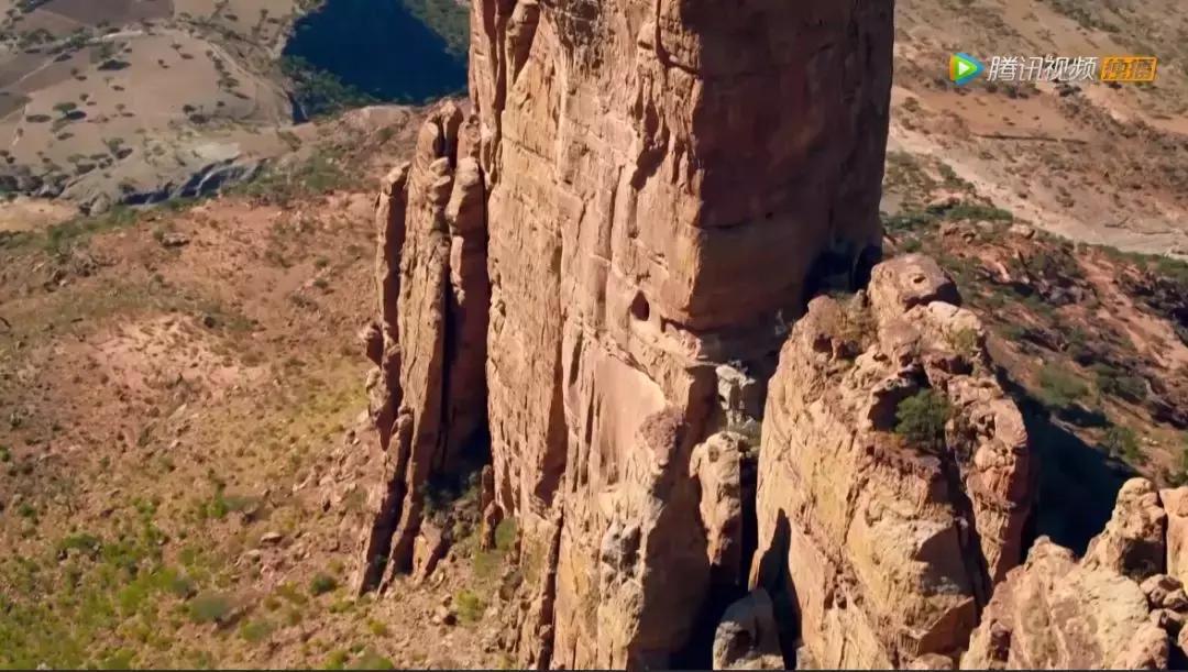 人在逆境要懂得坚持,面对逆境向阳而生