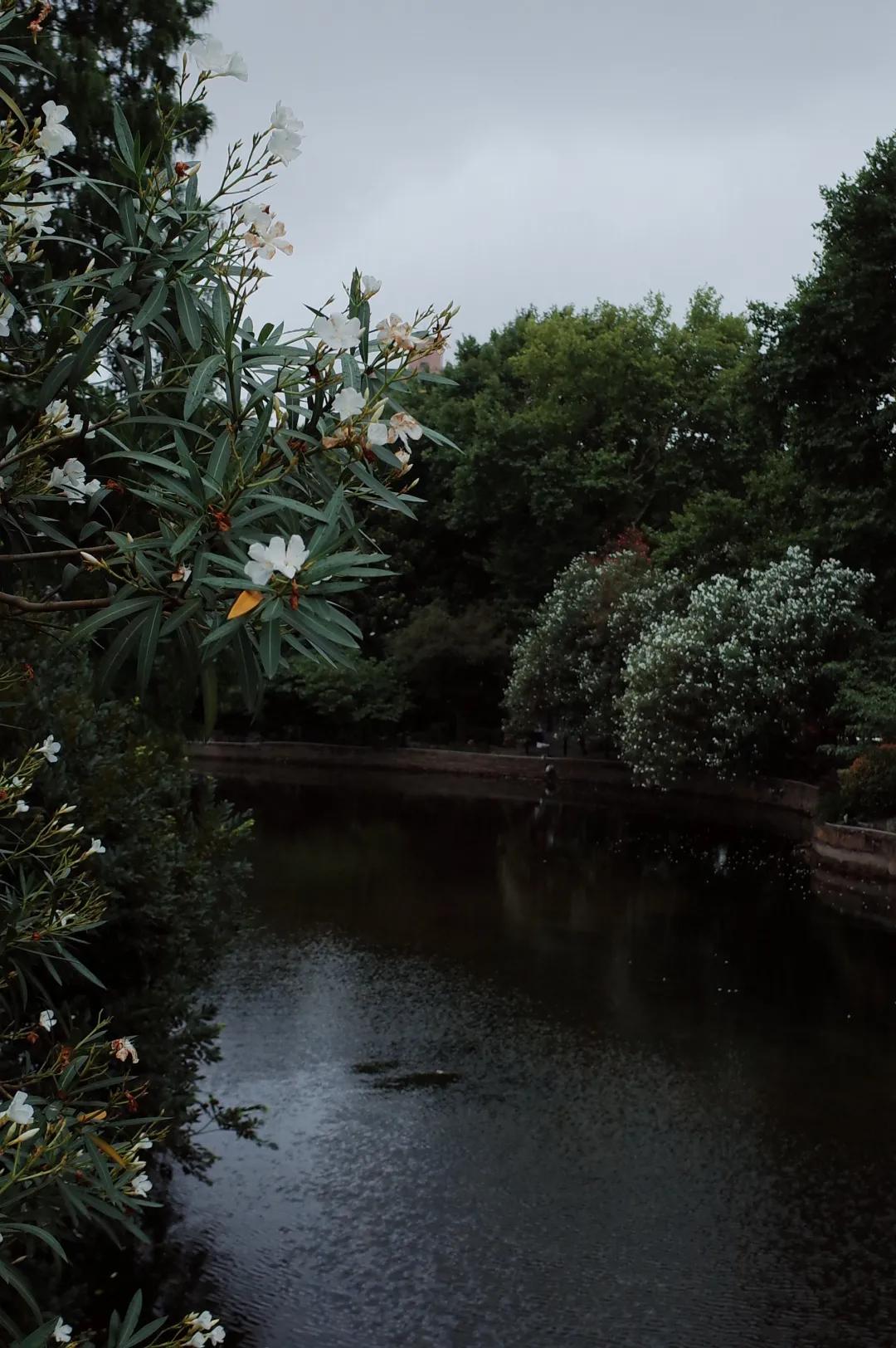 我不许你只是路过上海虹口