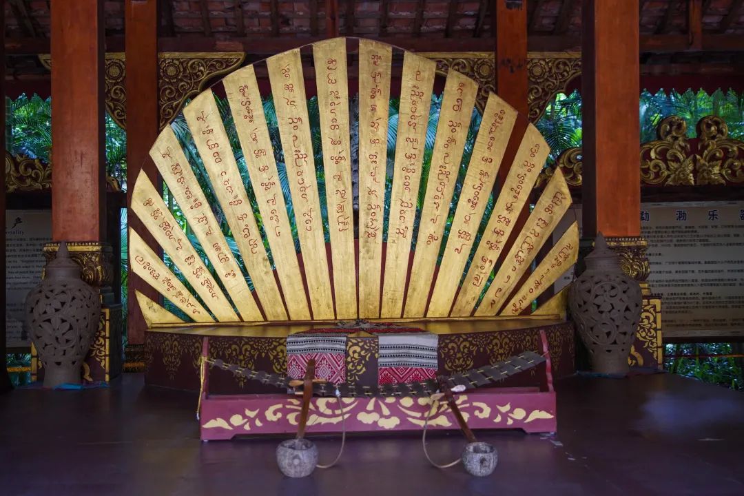 打卡中老铁路,曼听公园网红打卡景点