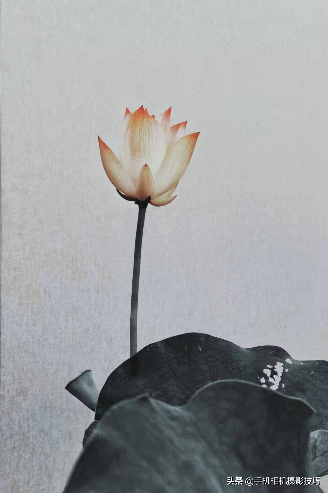 普通人如何拍出比较好看的照片,16张普通人拍出来的好照片