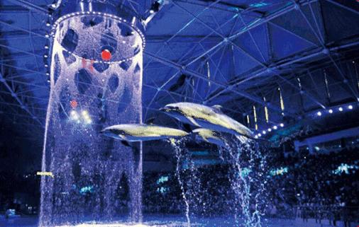 最新山东正在招商的景区,山东免门票的景区都有哪些