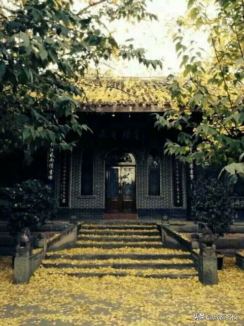 成都石室中学现状,石室中学学生有多厉害