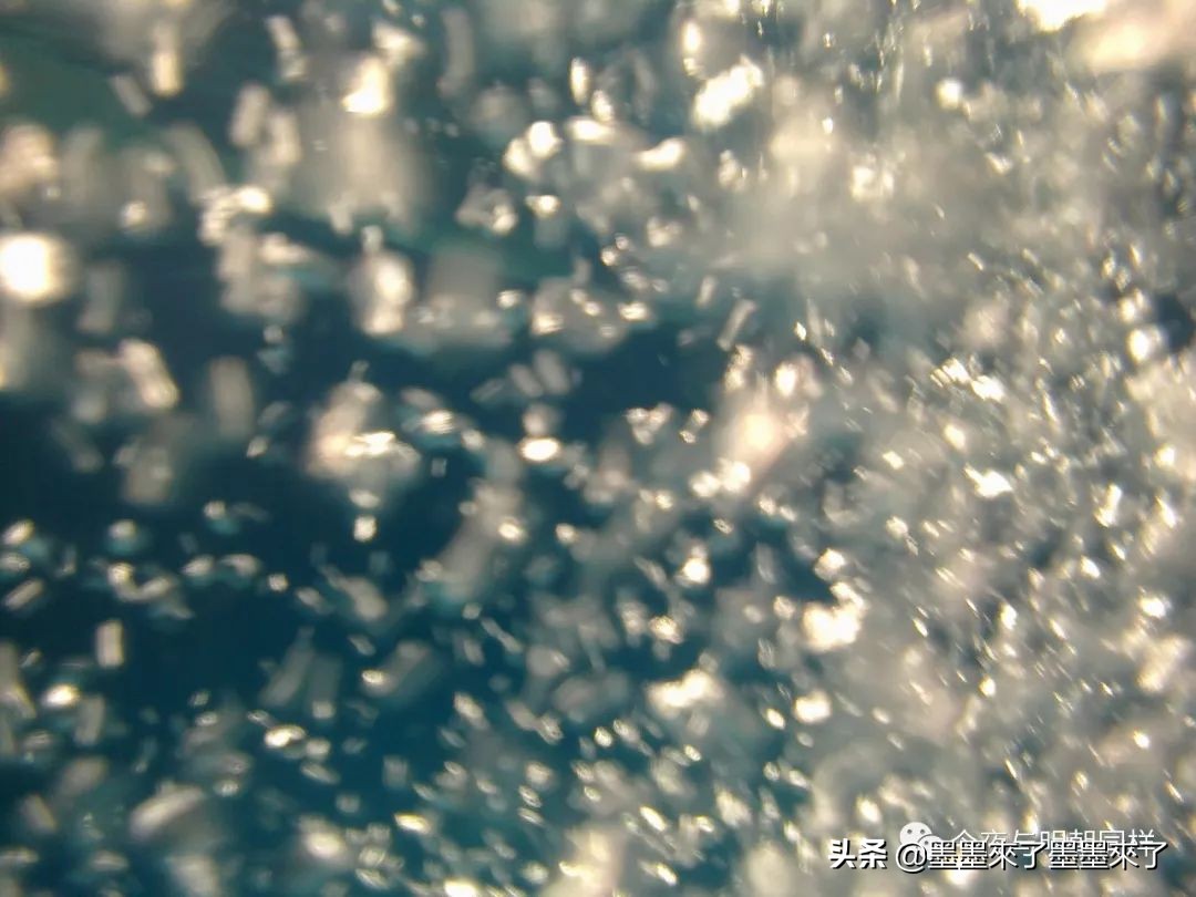 加拿大人慢节奏,加拿大人的日常生活