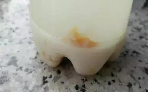 绿萝怎么养好爬满100个墙壁,绿萝怎么分盆养才能爆盆和爬满墙