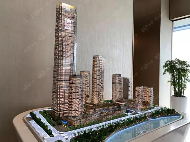 猛虎pk,猛虎vs路虎老虎