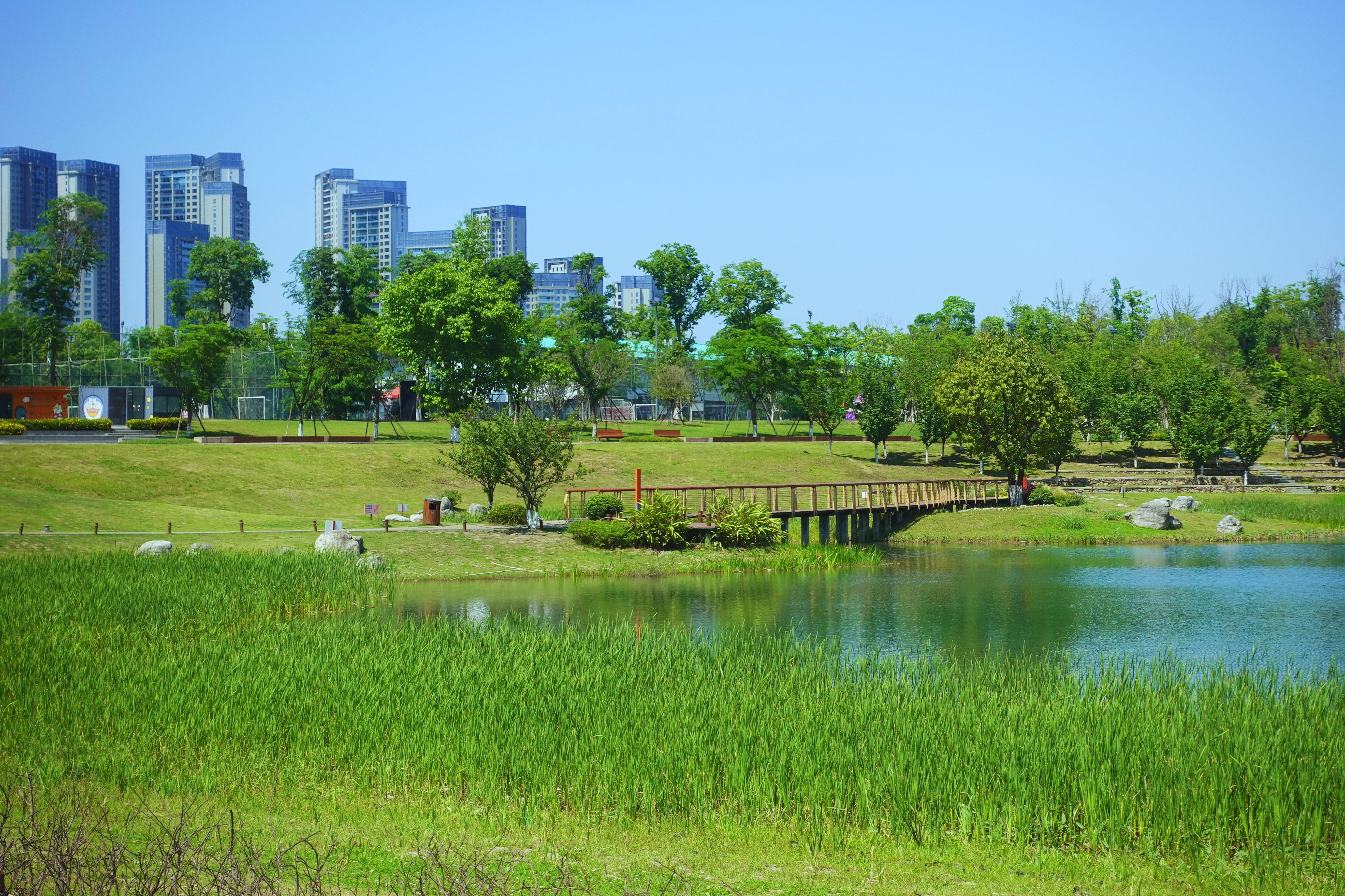 2021幸福感城市成都,2021最具幸福感城市成都