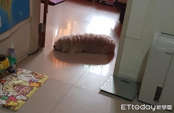 门口发现许多奇怪动物,门口发现一只蟑螂