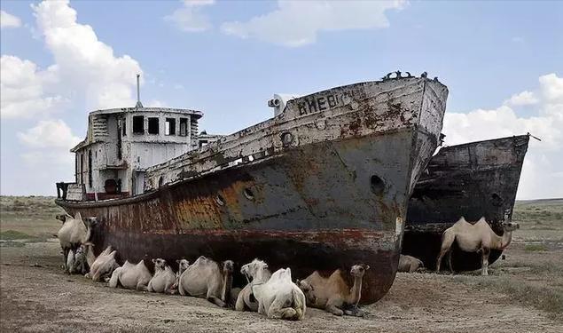 购买战舰回去之后没水了,比蒙古海军还心酸的战舰