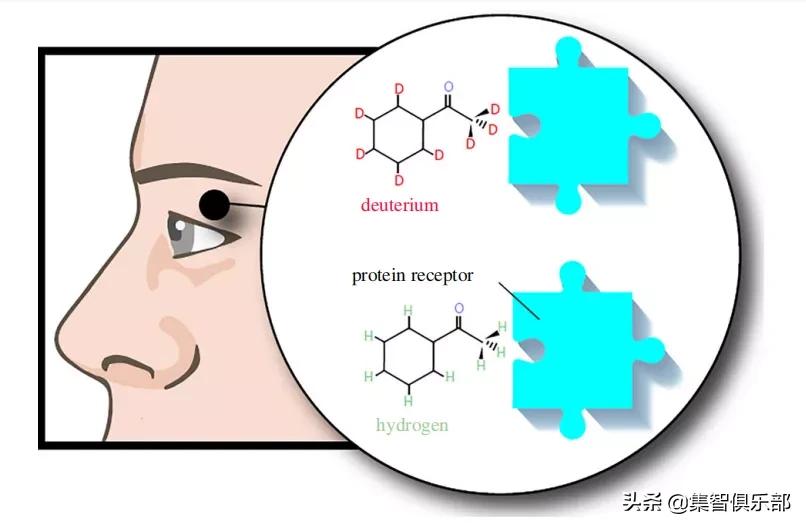 生命的边缘量子生物学时代的到来,量子生物学的研究意义