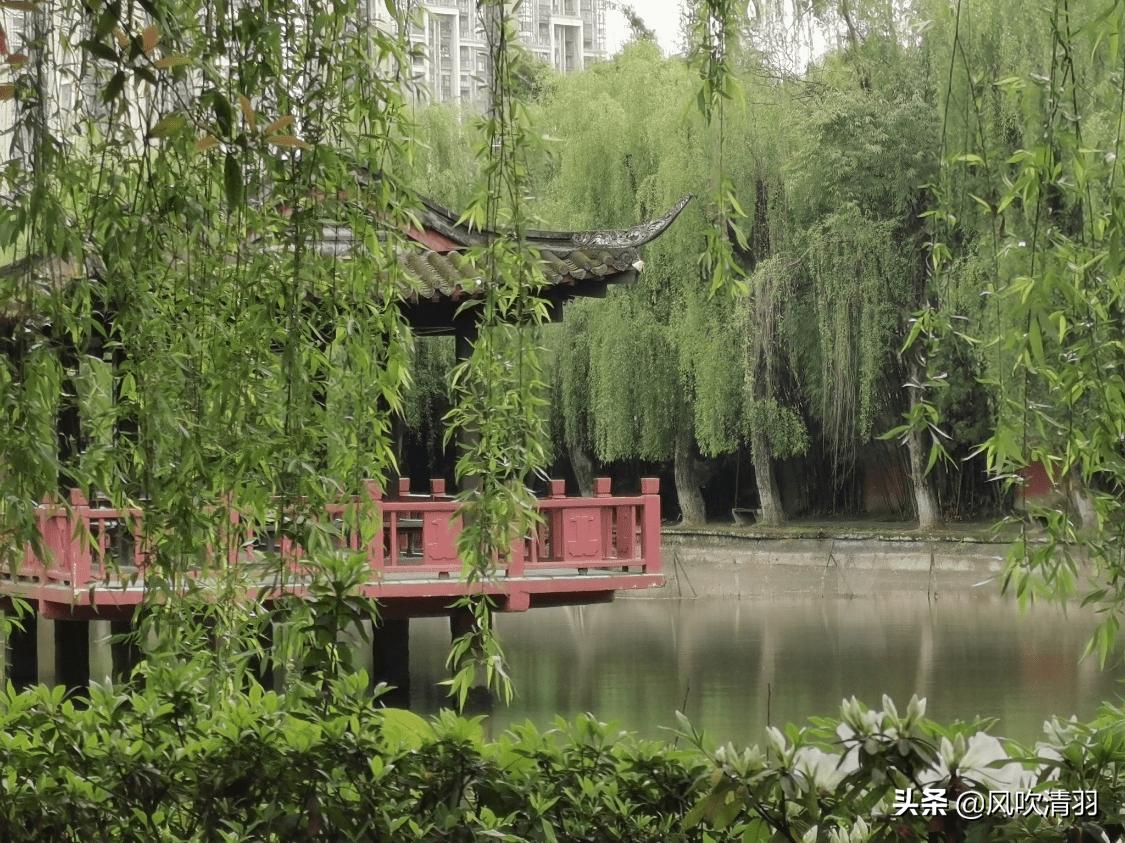郫都和温江龙泉驿哪个更好,四川成都温江风景