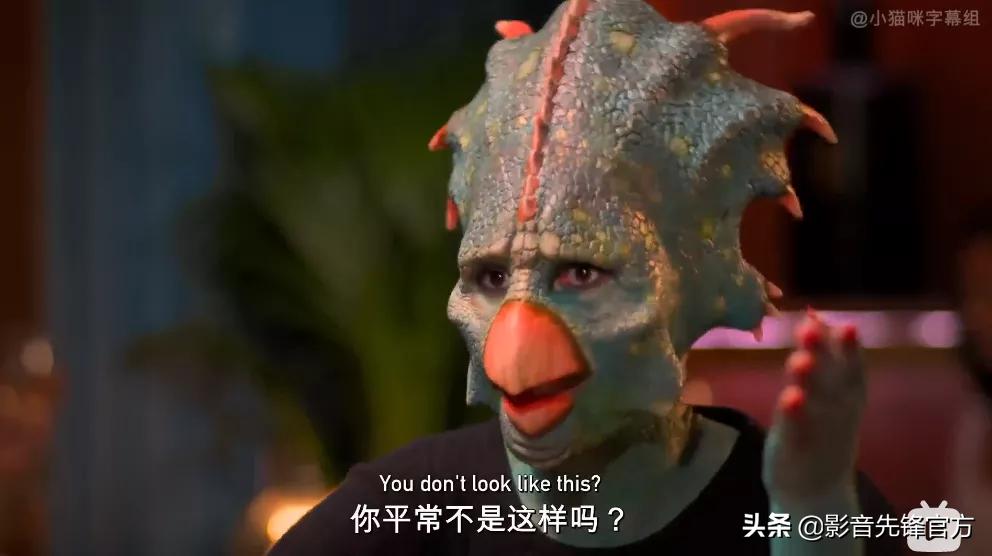 跨种族相亲,跨越种族相亲讲的什么