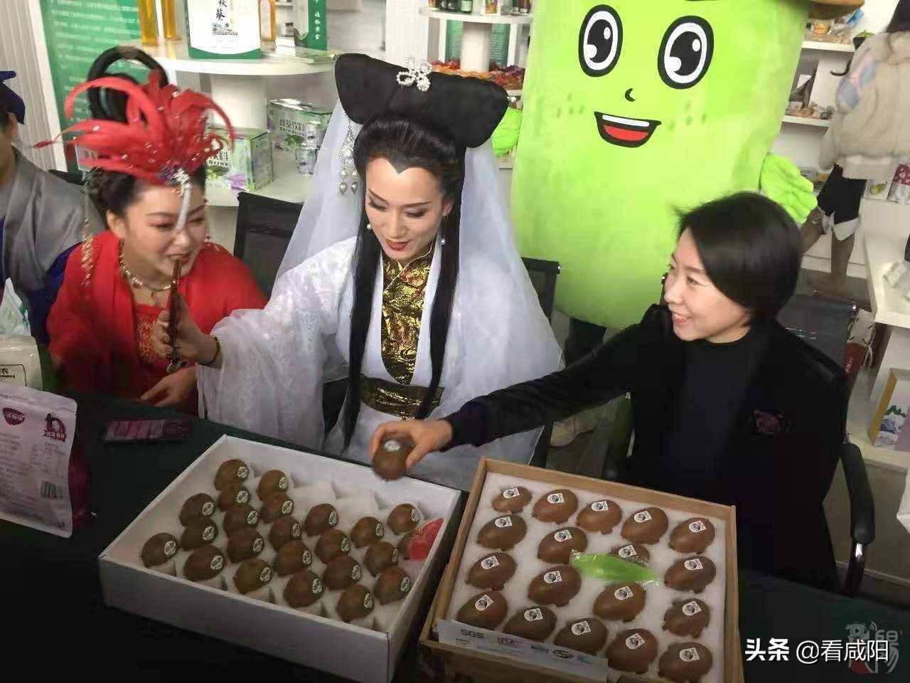 武功电商县长直播,咸阳武功县电商直播