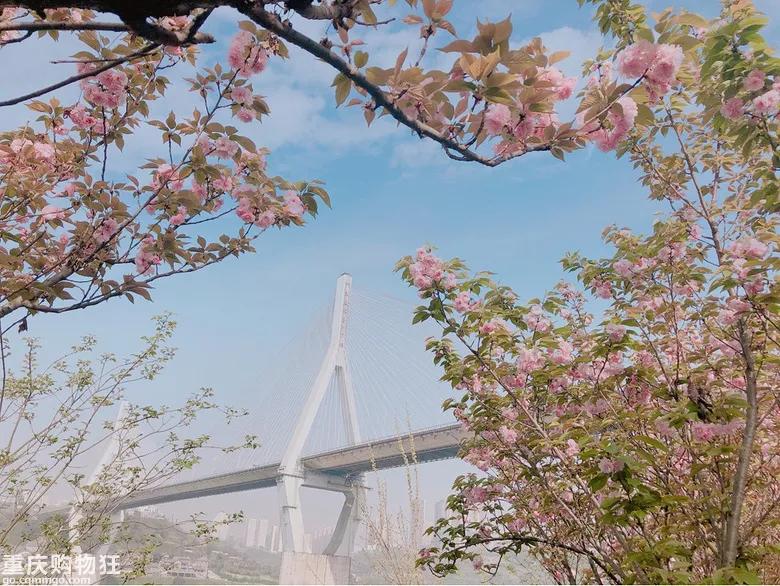 巴南鱼洞户外好耍的地方,巴南鱼洞周边一日游的绝佳去处