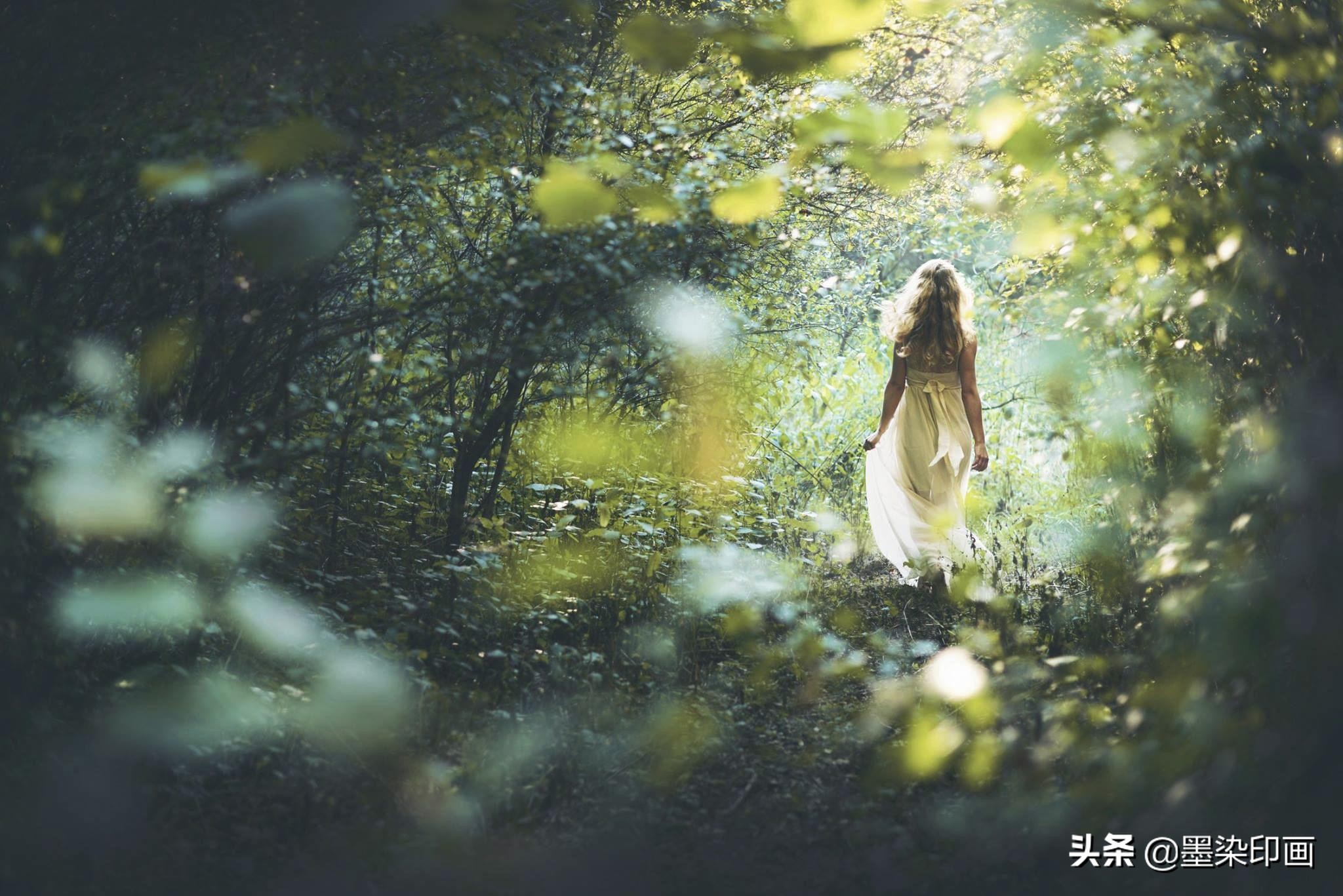 如何让拍出来的照片不灰蒙蒙,白天拍摄暗调照片的技巧