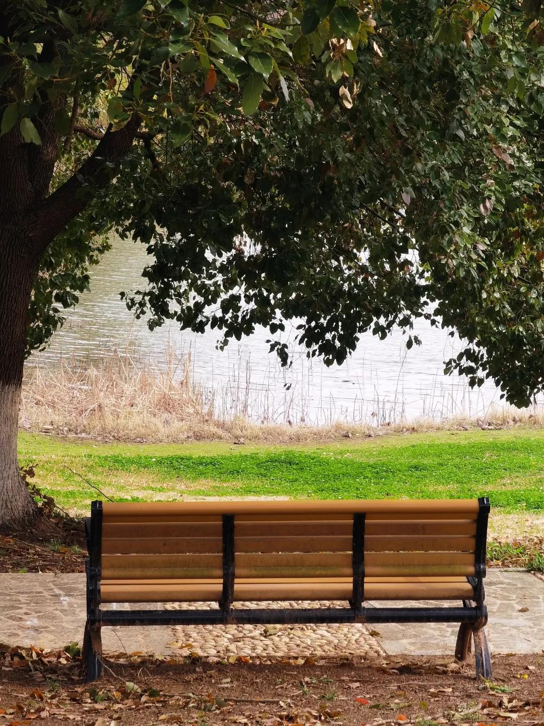 校园春季约拍,校园浪漫约会计划