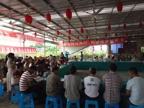 2018农村商业项目,未来有发展前景的农村项目
