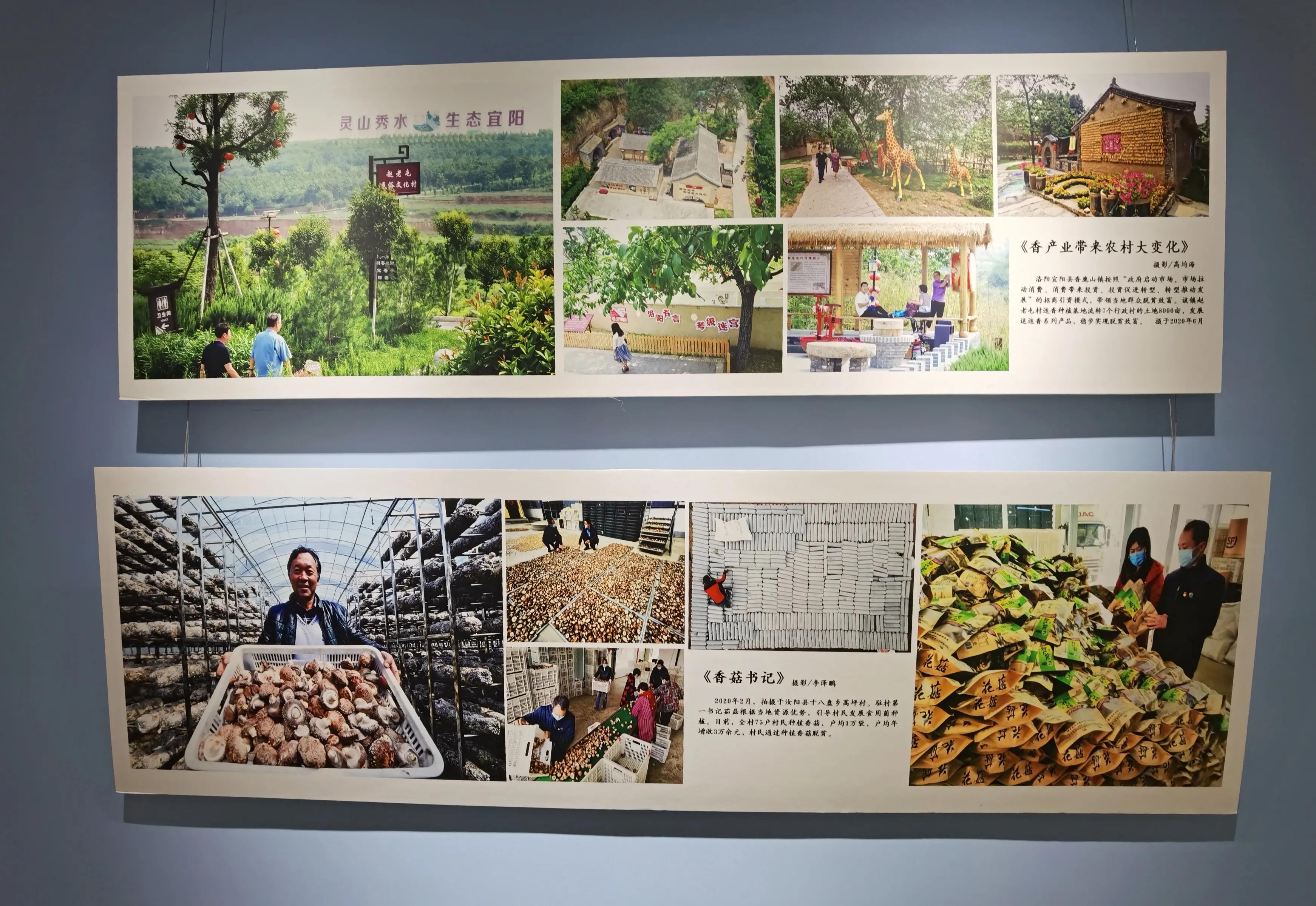 洛阳免费看书的地方,洛阳看书的地方