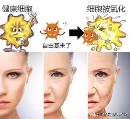 收缩毛孔胶原蛋白精华液,胶原蛋白能缩小毛孔吗