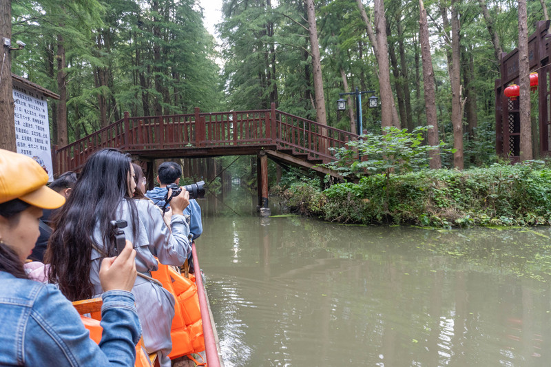 乘着高铁去踏青赏景,乘着高铁游扬州高邮北