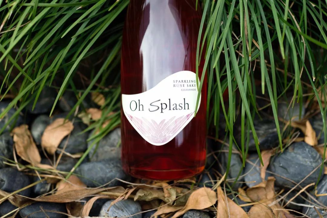 春天花会开敬酒歌,春天花会开一杯酒