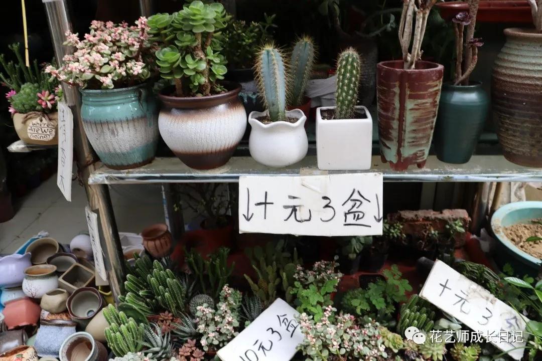 <html>
<head><title>502BadGateway</title></head>
<body>
<center><h1>502BadGateway</h1></center>
<hr><center>nginx</center>
</body>
</html>
<!--apaddingtodisableMSIEandChromefriendlyerrorpage-->
<!--apaddingtodisableMSIEandChromefriendlyerrorpage-->
<!--apaddingtodisableMSIEandChromefriendlyerrorpage-->
<!--apaddingtodisableMSIEandChromefriendlyerrorpage-->
<!--apaddingtodisableMSIEandChromefriendlyerrorpage-->
<!--apaddingtodisableMSIEandChromefriendlyerrorpage-->
