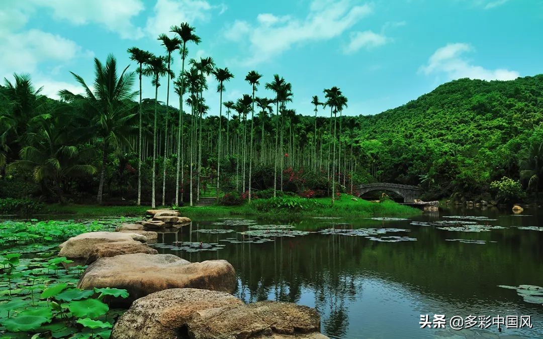 海南天然氧吧舒适景点,海南岛热带天然森林