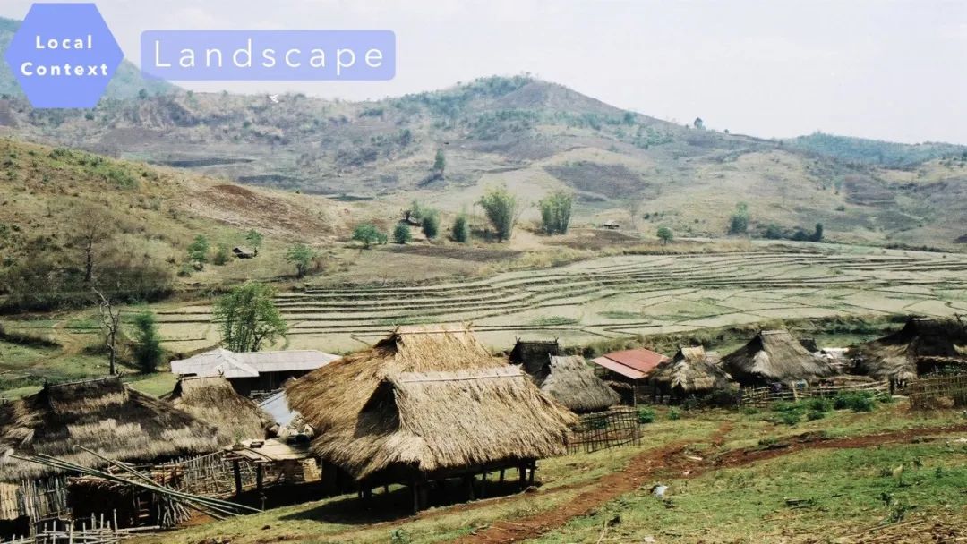 张军检查防疫,张军防疫