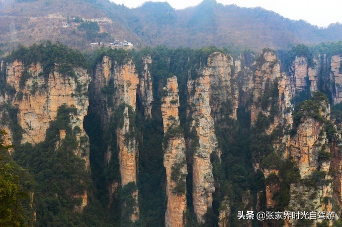 张家界森林公园亲子游攻略,张家界旅游攻略现在张家界气温