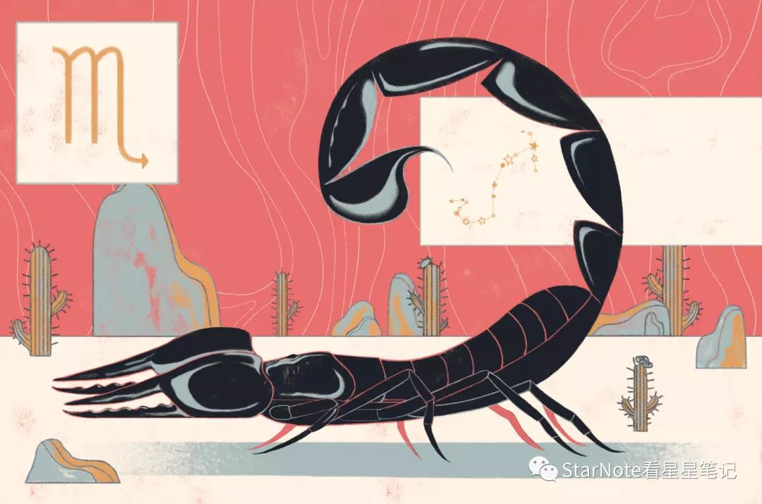 星座说｜天蝎座性格运势全解析