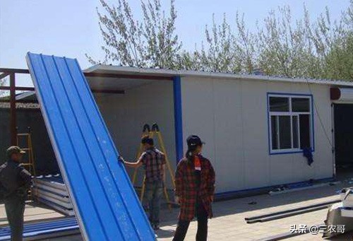 农村三大赚钱的项目有哪些,利润很吓人的10个冷门农村项目