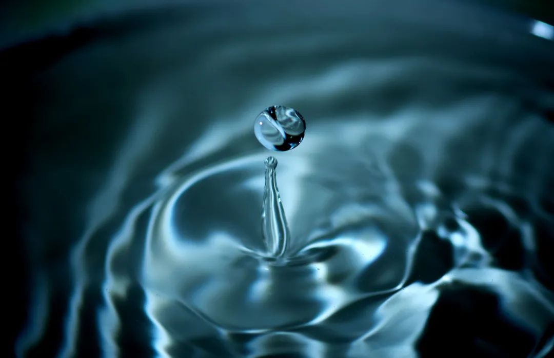 白带有哪些种类照片,五颜六色的菜你见过吗