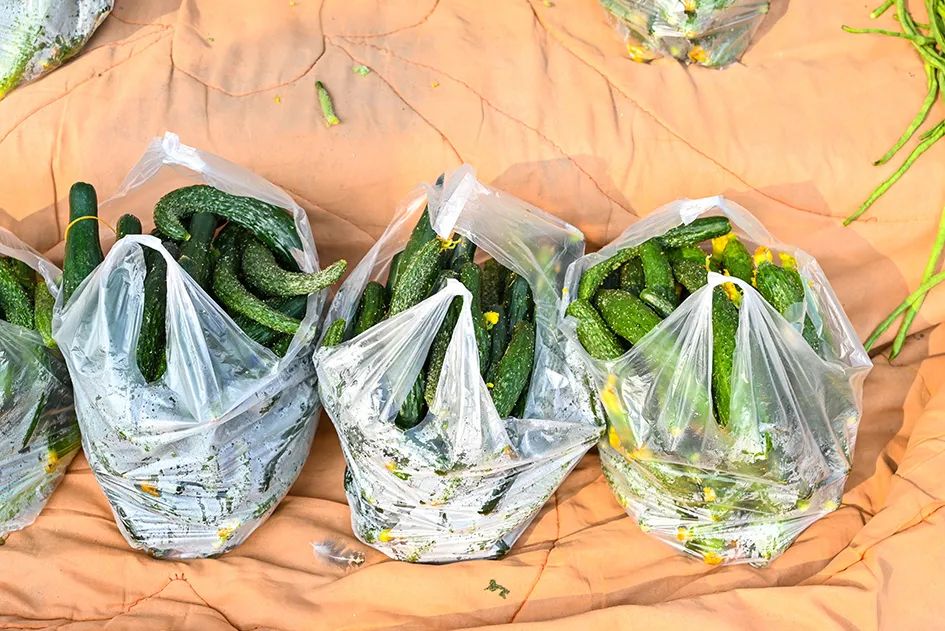 满满的烟火气逛大集真好玩,最值得逛的大集