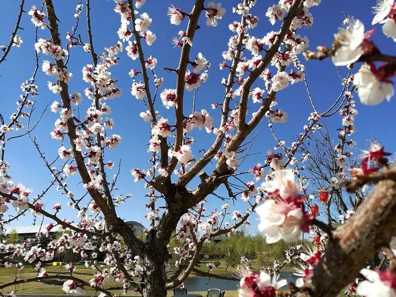 晋城司徒小镇异域风情,晋城皇城相府和司徒小镇