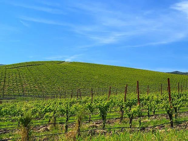 windowsxp最经典的壁纸,windowsxp经典壁纸