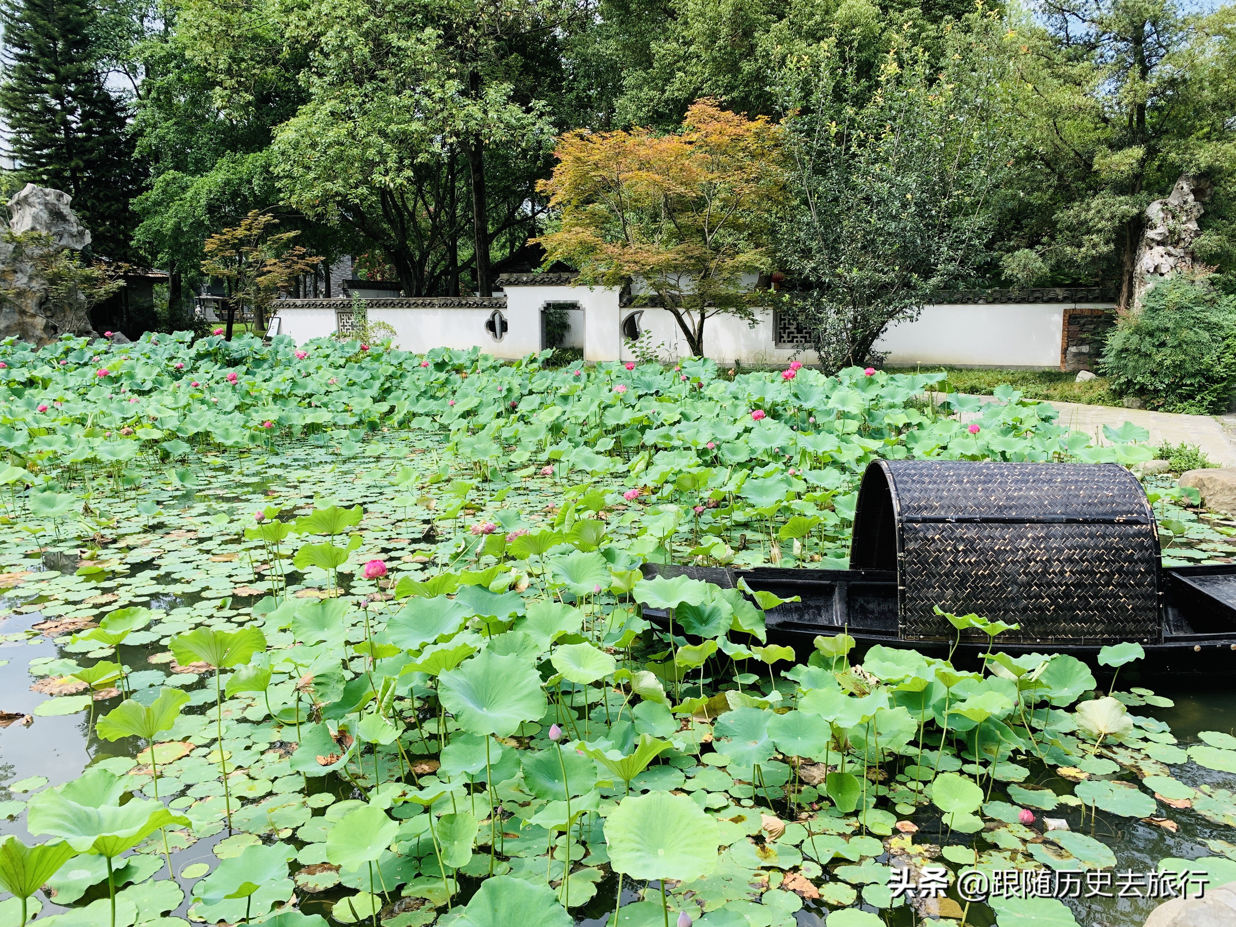 成都苏州园林式豪华庭院别墅,成都藏在市区里的苏州园林