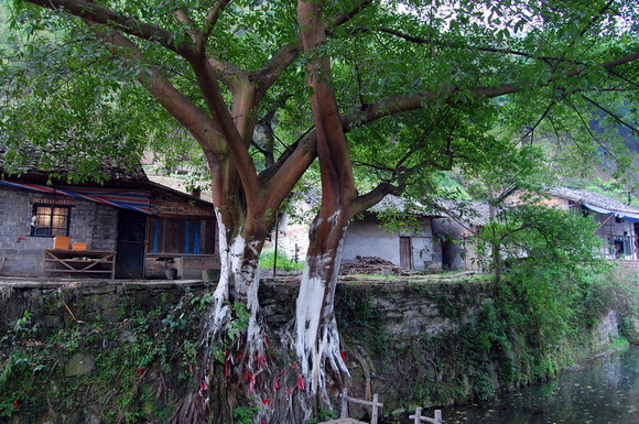 旅游蒸汽轨道观光小火车,中国最美的旅游观光小火车
