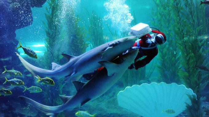 青岛海边景点路线推荐,青岛最美沿海公路怎么自驾