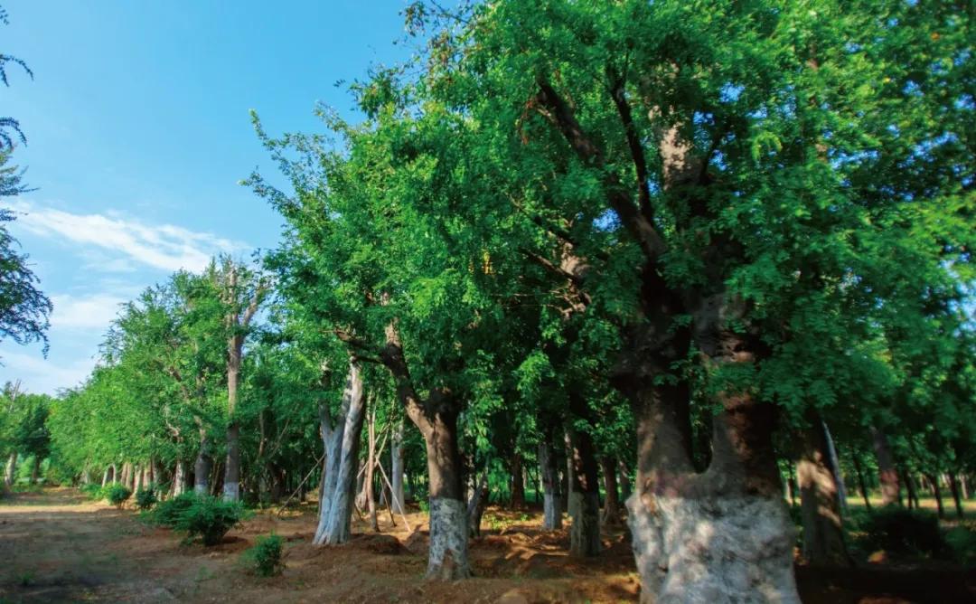 开封永威楼盘,永威哪个楼盘值得期待