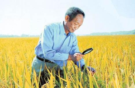 袁隆平狂飙四川话,袁隆平飚长沙话