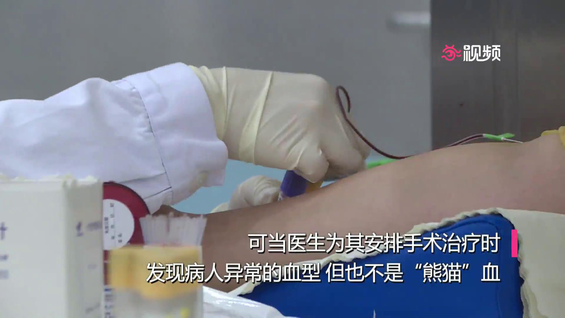 恐龙血是不是比熊猫血更珍稀,罕见恐龙血是什么