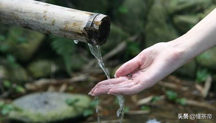 怎么样泡茶才能泡出好喝的茶,泡茶时茶和水如何选择