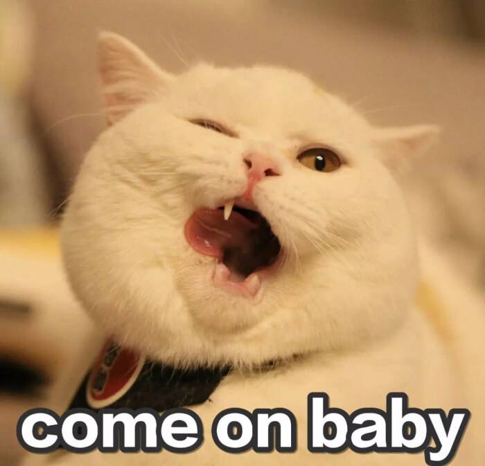 30万分之一概率,打麻将如何计算胡牌的概率