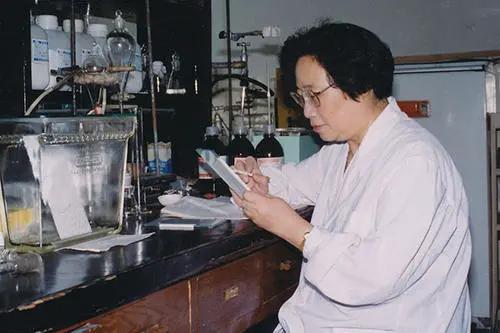 首位获诺贝尔奖的中国籍女科学家,中国首位科学家诺贝尔奖