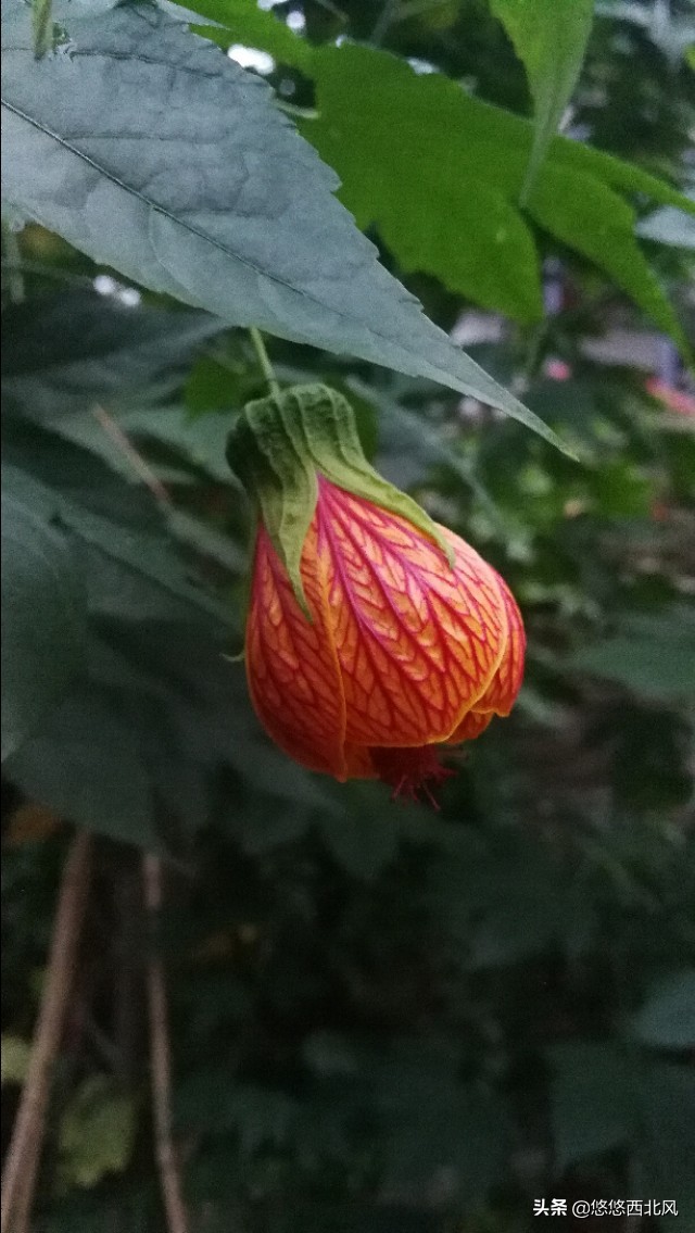 贵州行影像,贵州之旅day1