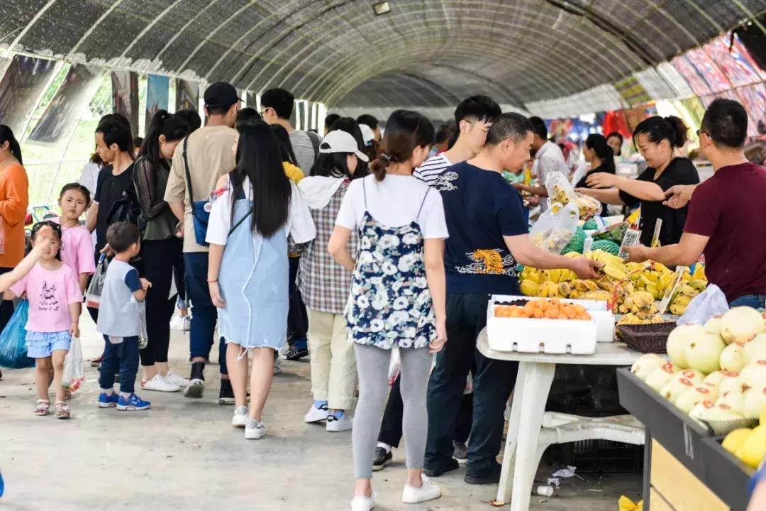 三个桃子19块钱,三个桃子1千克15个桃子重多少千克