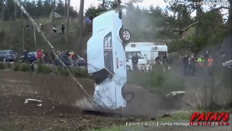 2003年f1舒马赫经典比赛,1996年舒马赫雨中夺冠