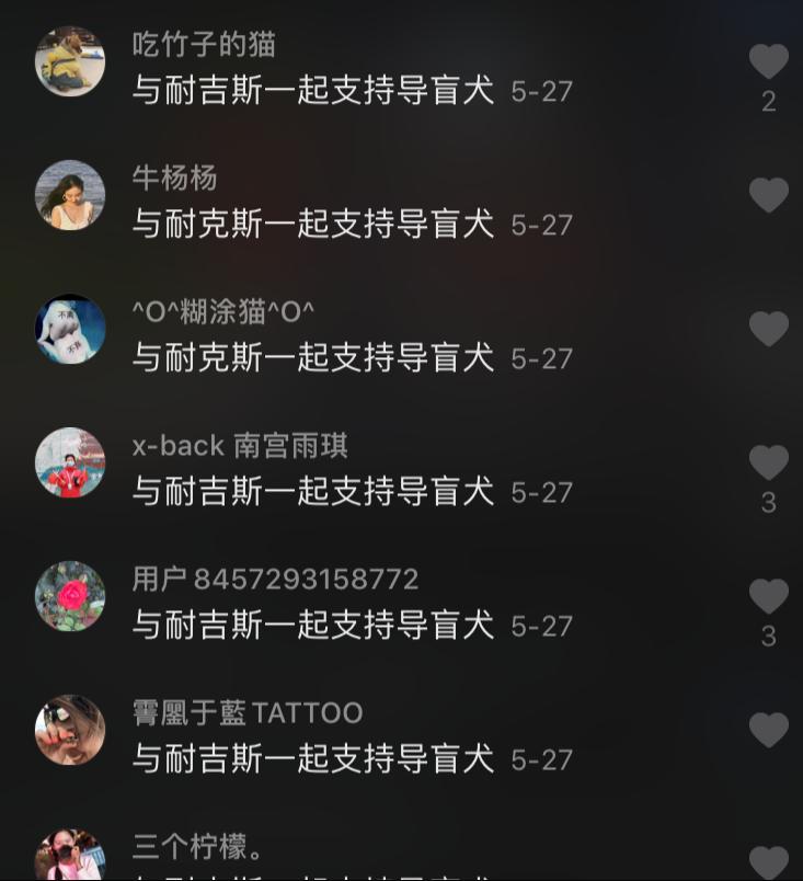 感谢15888名导盲犬支持者，1吨耐吉斯犬粮已送达导盲犬基地