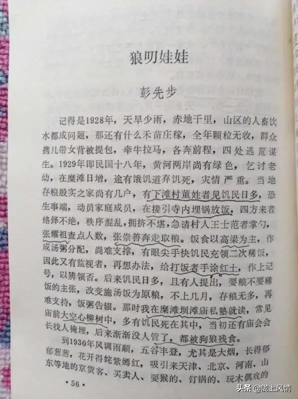 民国时期的狼灾事件,甘肃狼群事件