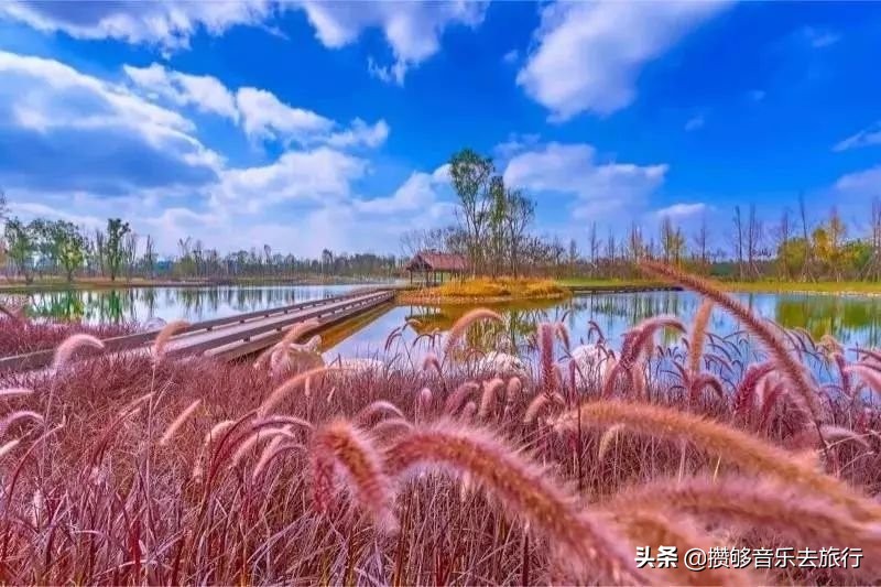 来成都逛绿道,逛绿道